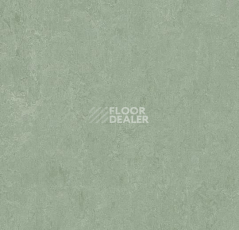 Линолеум Forbo Marmoleum Decibel on Order 389135 sage фото 1 | FLOORDEALER